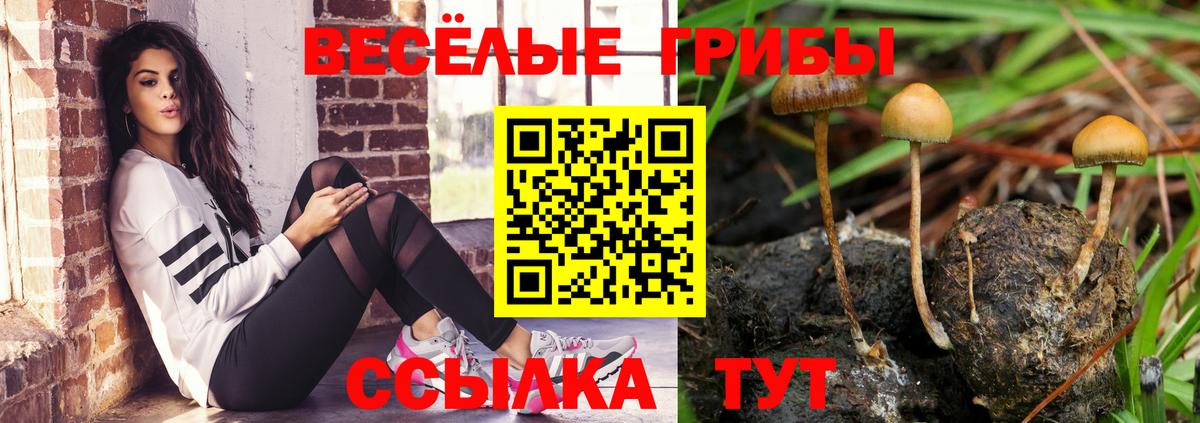 Галлюциногенные грибы ЛСД Камышин